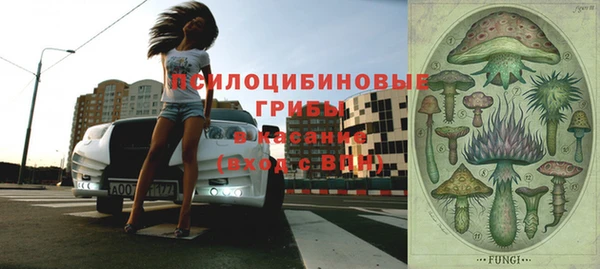 дживик Семикаракорск
