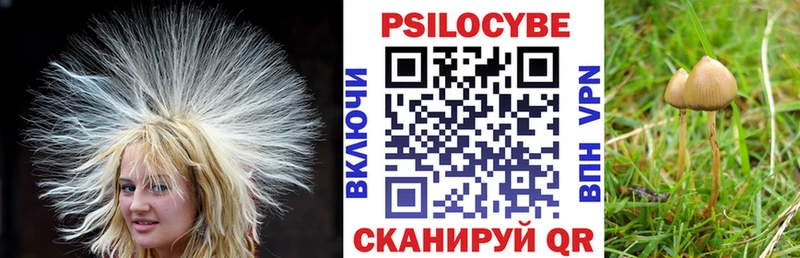 Псилоцибиновые грибы Psilocybine cubensis  Купить  Кандалакша 
